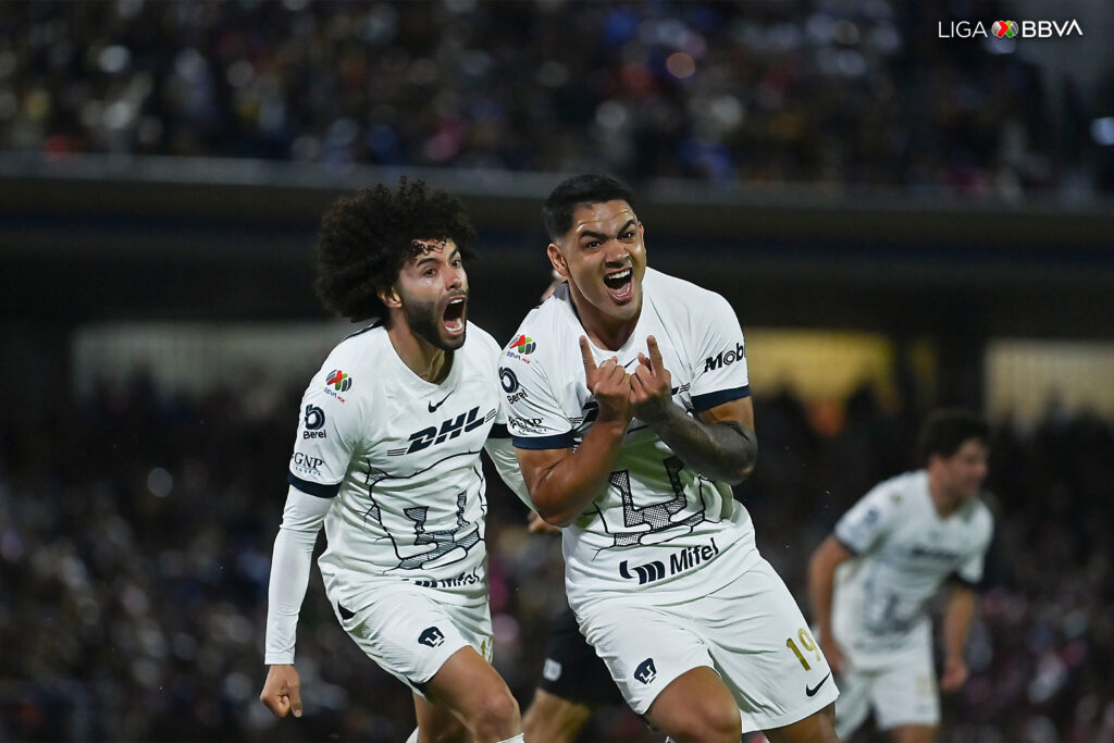 Gabriel Fernández Pumas