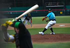 Odrisamer Despaigne Yaquis