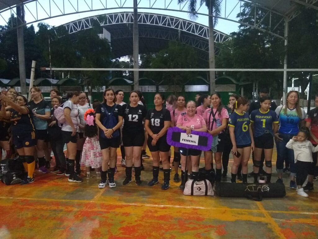 Voleibol Culiacán