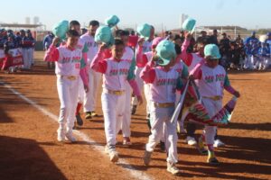 Beisbol Liga Mazatlán