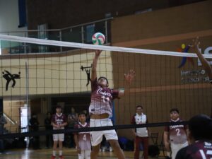 voleibol sala