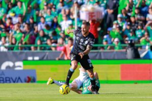Gallos Blancos