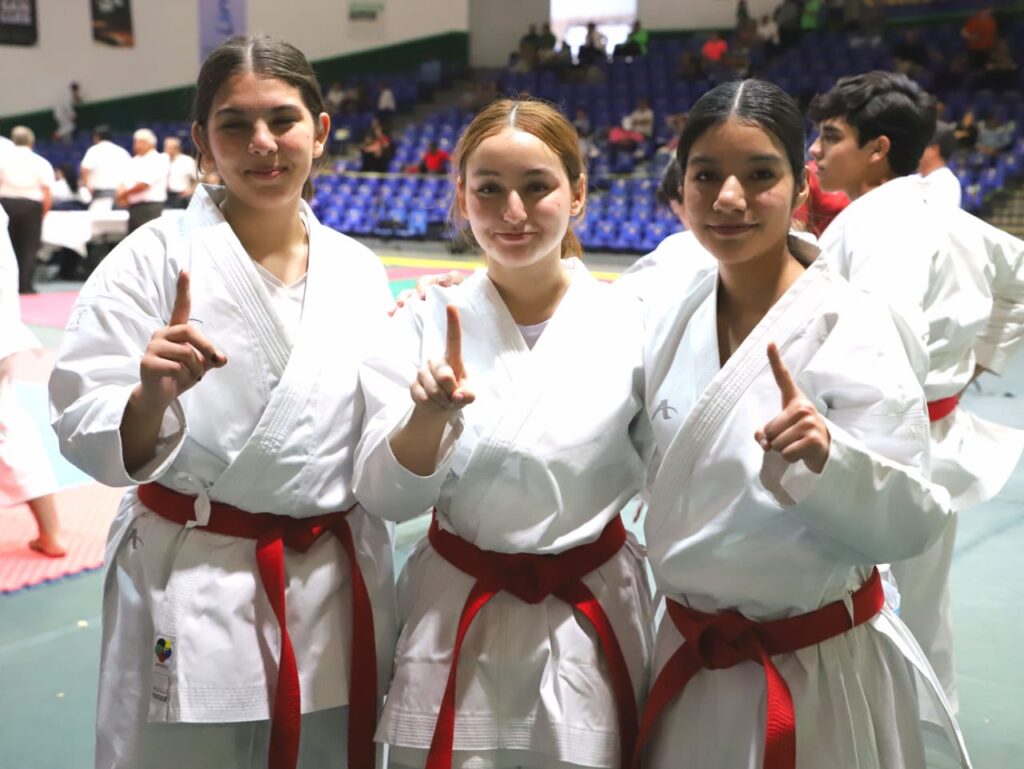 Karate Sinaloa