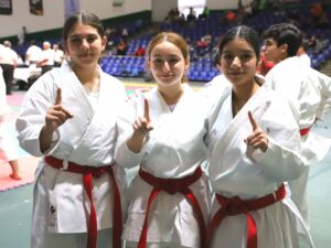 Karate Sinaloa