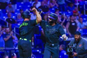 Rays de Tampa Bay