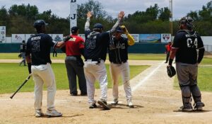 Liga de Beisbol Japac